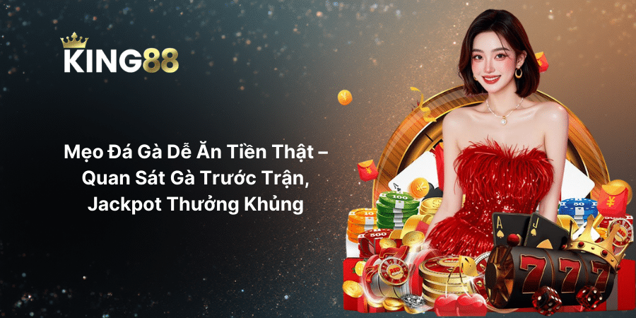 Mẹo Đá Gà Dễ Ăn Tiền Thật – Quan Sát Gà Trước Trận, Jackpot Thưởng Khủng
